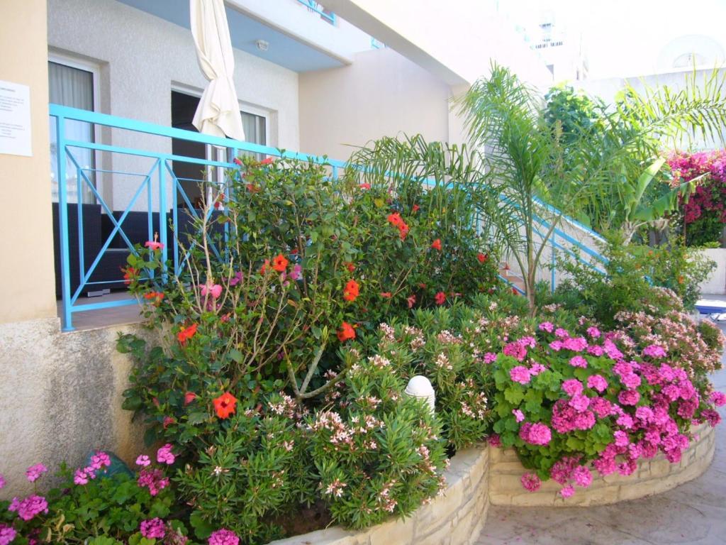 Ferienwohnung Blue Oasis Gardens Limassol Exterior foto