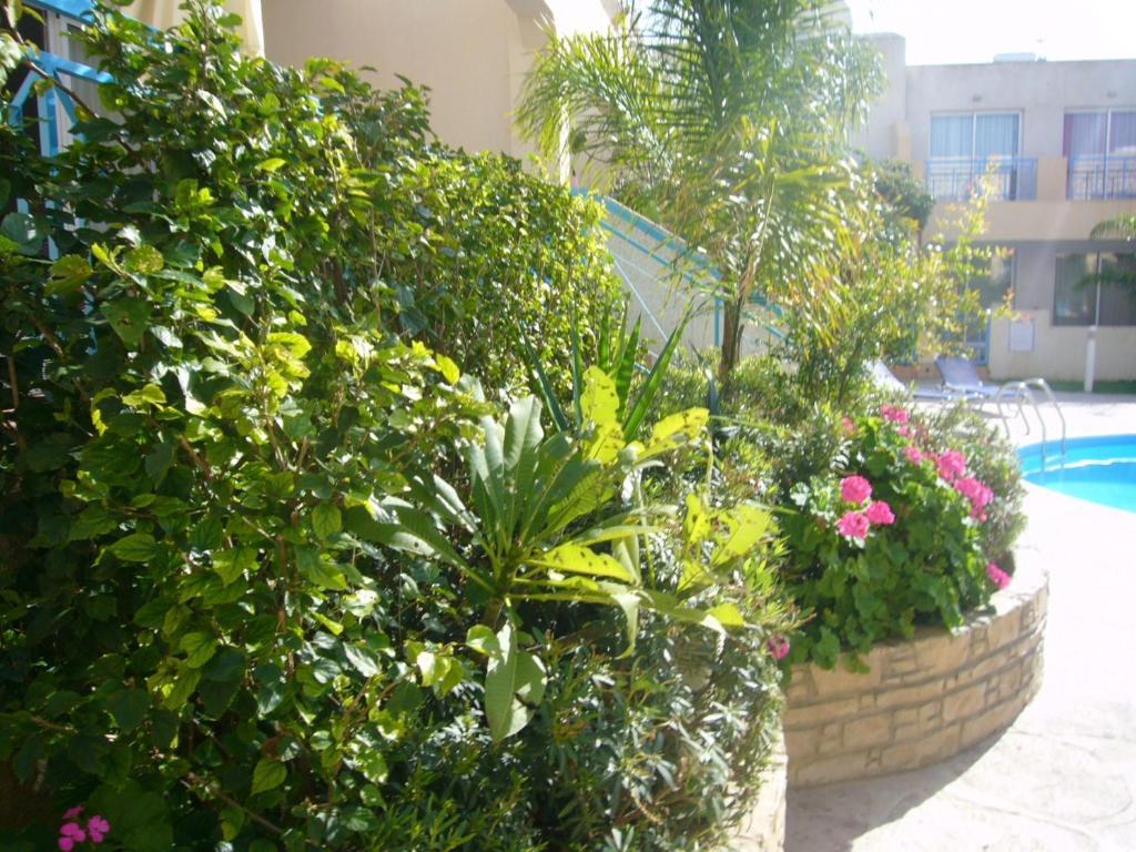 Ferienwohnung Blue Oasis Gardens Limassol Exterior foto