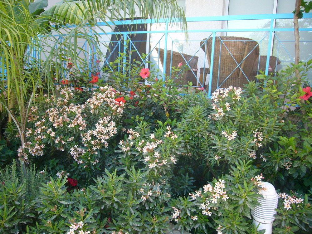 Ferienwohnung Blue Oasis Gardens Limassol Exterior foto